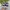 NEW BALANCE 1906R photo 4