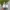 ADIDAS SL72 OFF WHITE ALMOST PINK photo 4