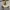 Woman Sling Bag CLN Woman Shoulder Bag photo 2
