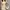 Woman Sling Bag CLN Woman Shoulder Bag photo 1