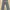 Woman Jeans Soft Jeans Woman