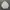Chemise Lacoste Bomber Jacket photo 1