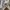 Hodie oioi seoul photo 5