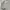 LAFUDGE M56 FISHTAIL PARKA DESERT BEIGE photo 3
