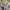 Nickelodeon x Avatar The Last Airbender 2021 AOP Anime Tee photo 4