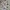 Nickelodeon x Avatar The Last Airbender 2021 AOP Anime Tee photo 5