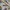 Nickelodeon x Avatar The Last Airbender 2021 AOP Anime Tee photo 7