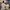 Nickelodeon x Avatar The Last Airbender 2021 AOP Anime Tee photo 1