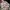 Gucci bree monogram kanvas mix leather photo 7