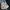 Gucci bree monogram kanvas mix leather photo 1