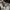 Gucci bree monogram kanvas mix leather photo 9