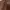 Buckle Brown Genuine Leather Vintage Bag photo 3