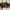 Buckle Brown Genuine Leather Vintage Bag photo 5