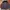 Barbour B.Intl Santa Rosa Quilt Jacket | Jacket Barbour | Ba photo 3