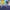 Kaos nascar jeff gordon winner's circle photo 5