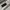Nike Aerosheild Gropcore Jacket photo 8
