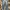 Carpenter Pants No brand photo 3