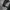 NIKE AIR WINBREAKER JACKET photo 8