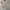 Vintage YSL Poloshirt Pocket Simple Logo photo 4