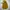 Cp company google jacket  photo 1