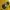 Cp company google jacket  photo 5