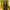 Cp company google jacket  photo 7