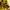 Cp company google jacket  photo 10