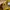 Cp company google jacket  photo 6