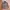Uniqlo M65 Parka Jacket