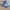 Crocs crush clog (blue frost) photo 1