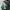 Vintage New york jets Nfl Leather Jacket photo 3