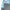 Angel Blue "Diary" Archival Horizontal Patchwork Contrast photo 3