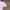 Y2K SKKONE DOUBLE LAYER GRUNGE photo 4