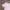 Y2K SKKONE DOUBLE LAYER GRUNGE photo 9