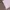 Y2K SKKONE DOUBLE LAYER GRUNGE photo 6