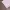 Y2K SKKONE DOUBLE LAYER GRUNGE photo 10