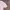 Y2K SKKONE DOUBLE LAYER GRUNGE photo 8