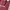 Tas Michael Kors Mirella Crossbody Satchel photo 7