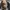 G1 Leather Jacket Vintage by Golden Fleece, Bomber Flight photo 3
