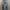Levi’s 512 Button Fly Boot Cut Jeans photo 2