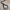 Yohji yamamoto black casual leather belt photo 4