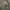 DICKIES CAMO LONGSLEEVE SPELL OUT photo 1