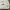 Bart Simpsons Oversized Crewneck Sweatshirt White photo 4