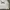 Surf Club USA Crewneck Sweatshirt White photo 5