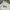 Surf Club USA Crewneck Sweatshirt White photo 3
