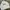 Surf Club USA Crewneck Sweatshirt White photo 2