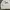 Surf Club USA Crewneck Sweatshirt White photo 4