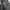 Dress Volume Ramones Blouson Leather Jacket photo 10