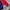 Adidas Casual Track jacket Pria blue red photo 3