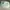 Vintage Streetwear Hat Pria white photo 2